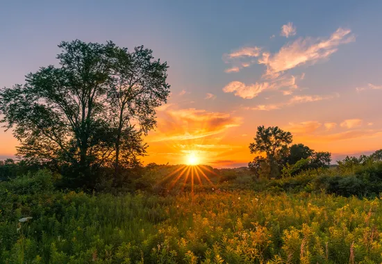 Header Graphic: Midwest Prairie Grass during a Sunset | Image Credit: Dave via Unsplash