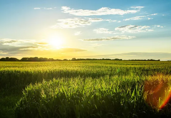 Header Graphic: Sun rise over a prairie | Image Credit: Demian Tejeda-Benitez via Unsplash