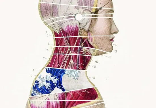 Cover image of The Body Alone by Nina Lohman