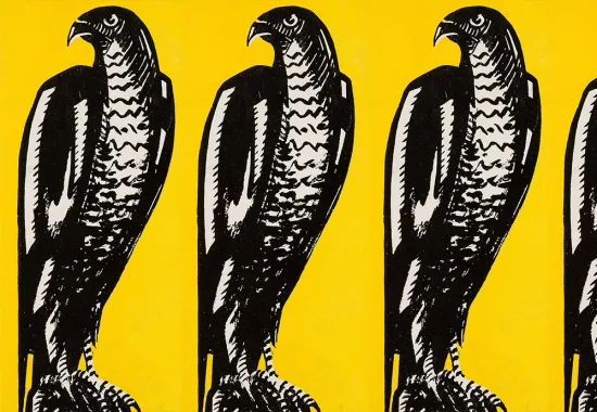 Cover of Maltese Falcon