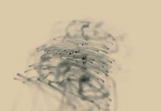 scribbles