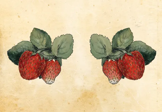 strawberries