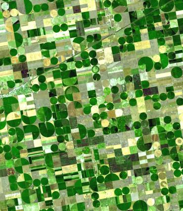 Satellite Image of Kansas Fields 