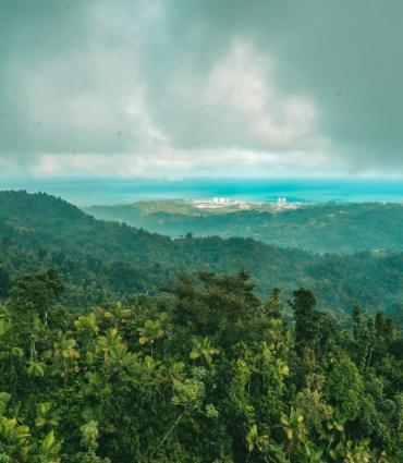 Rainforest in Puerto Rico photo by Beau Horyza for Unsplash