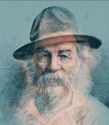 Drawn Whitman