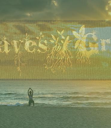 Sunrise yoga with Leaves of Grass lettering