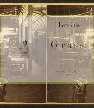 Stereo image of old print shop, with frontispiece to 1855 Leaves of Grass