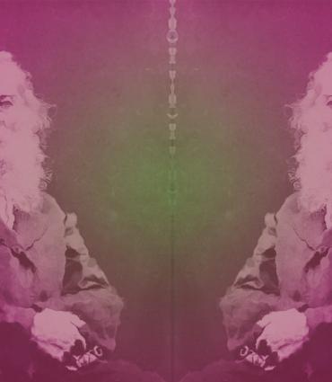 Mirror images of Whitman by G. Frank Pearsall
