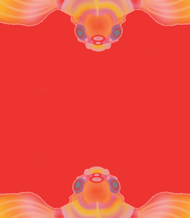 Fish on a red background