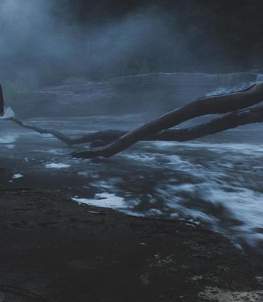 Header Graphic: "Depth" is a photograph of a woman standing in water at night with two branches of a felled tree extending toward the woman like arms of a great leviathan| Image Credit: Cara Spurlock from Flickr