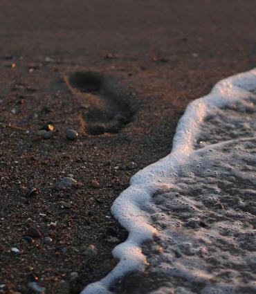 Header Graphic: A single footprint in the sand about to be washed away by the tide | Image Credit: Elias Domsch via Unsplash