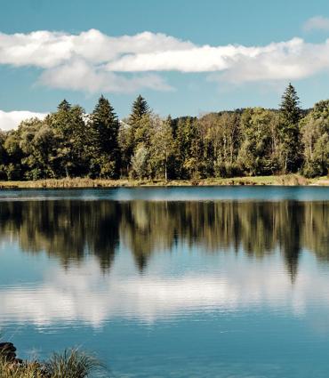 Header Graphic: Small lake surrounded by pine trees | Image Credit: Marcus Ganahl via Unsplash