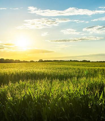 Header Graphic: Sun rise over a prairie | Image Credit: Demian Tejeda-Benitez via Unsplash