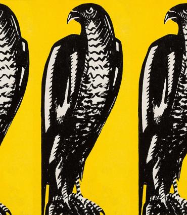 Cover of Maltese Falcon