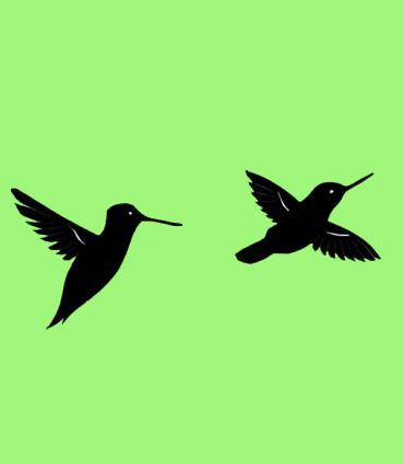 blackbirds on a green background