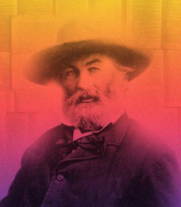 Whitman in a vibrant gradient