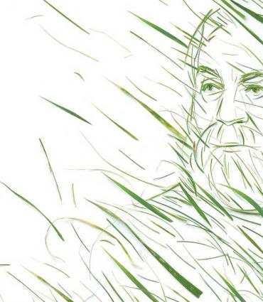 Whitman as grass, grass as Whitman