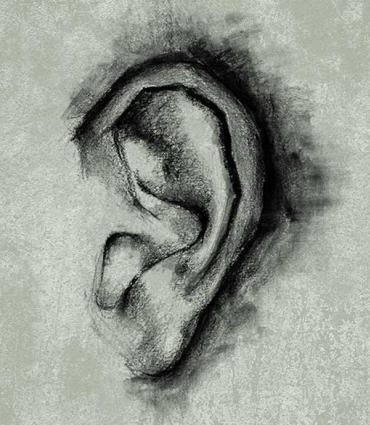 A drawn ear