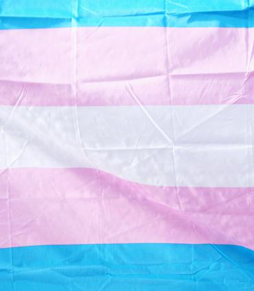 Light blue, pink, and white stripes of a trans flag