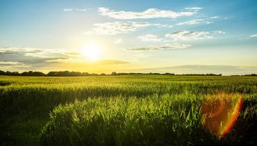 Header Graphic: Sun rise over a prairie | Image Credit: Demian Tejeda-Benitez via Unsplash