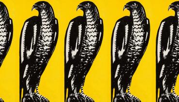 Cover of Maltese Falcon