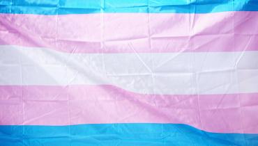 Light blue, pink, and white stripes of a trans flag