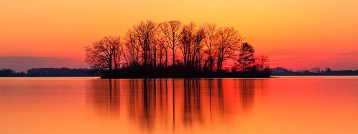 trees reflected on water at sunset