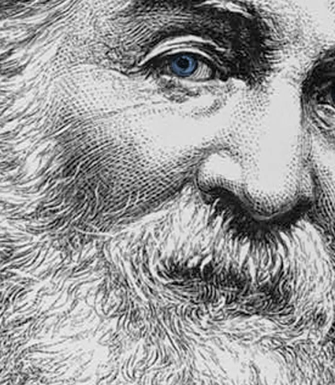 intimate drawn Whitman