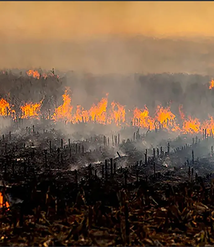 Fire