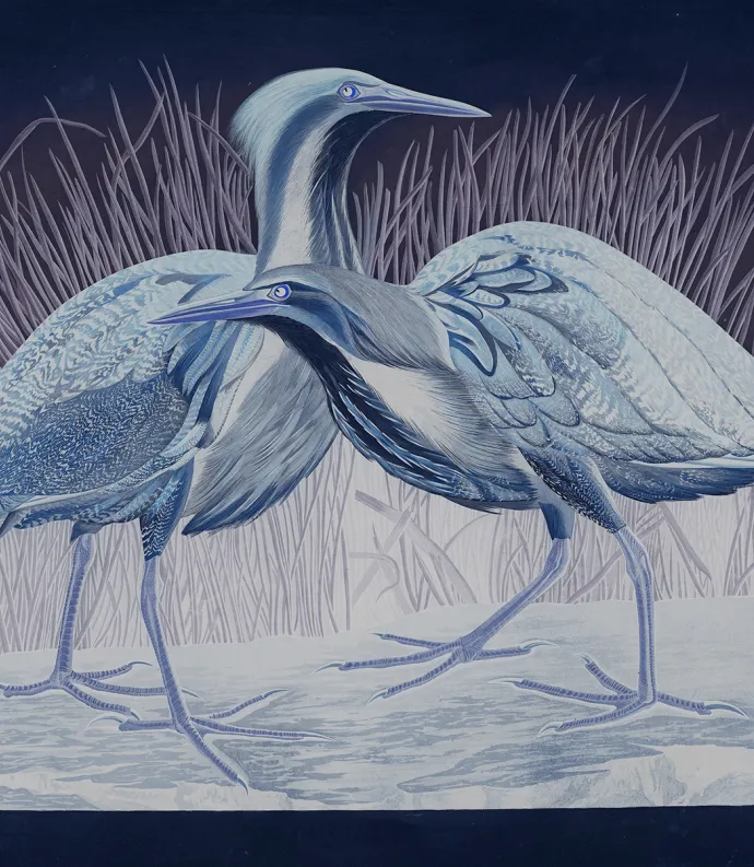 American Bittern Painting