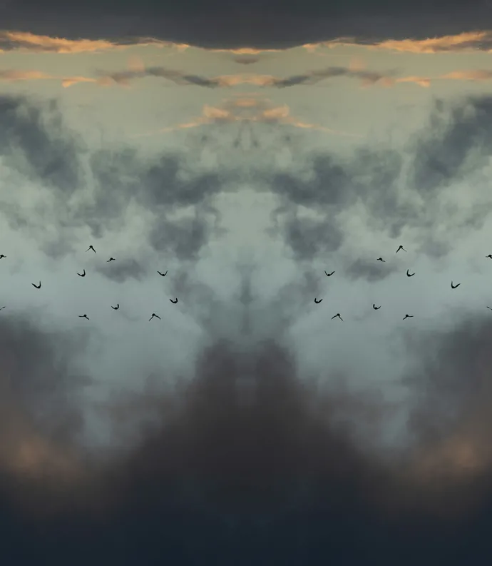 birds and clouds