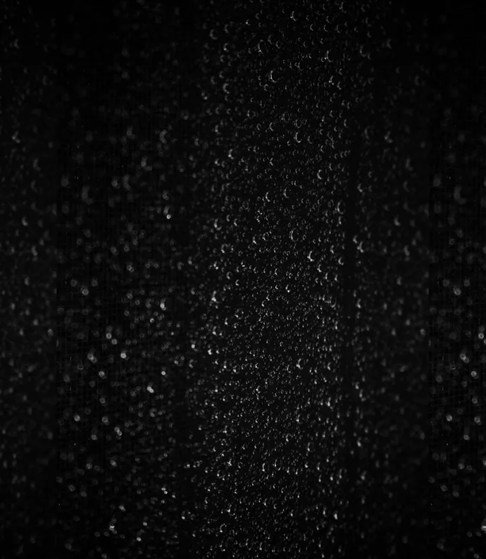 Black Rain