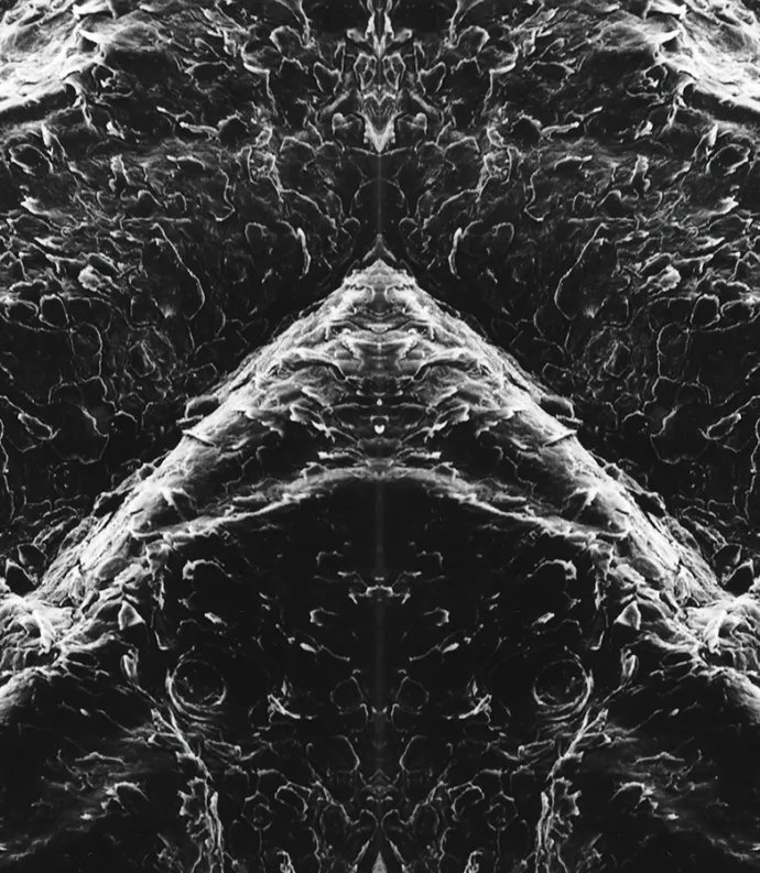 Black and white close up of skin