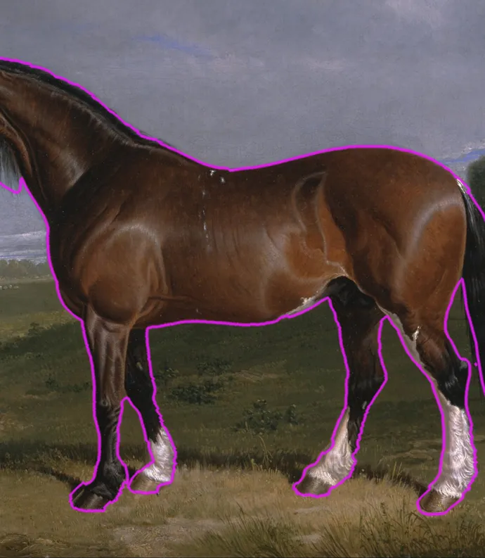 Horse in an open field 