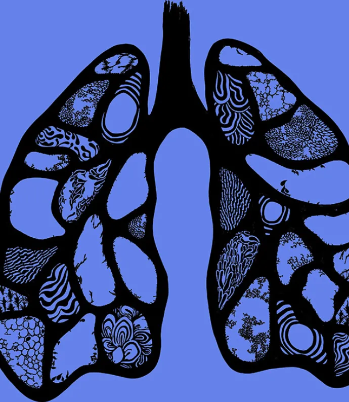 Lungs