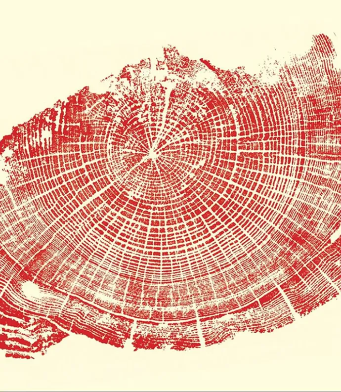 red woodcut of tree rings on cream background