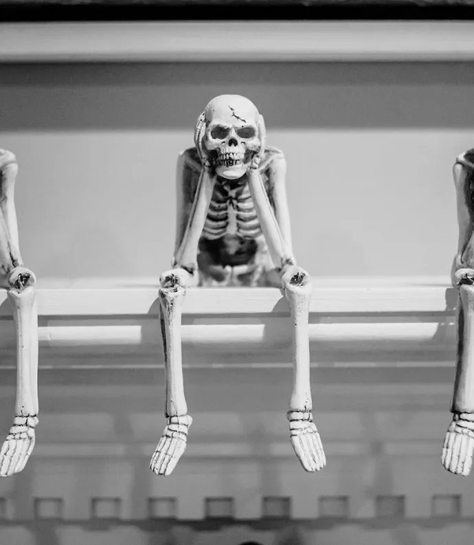 Plastic Skeletons Outside