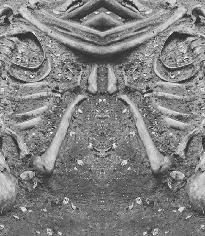 Skeleton in earth