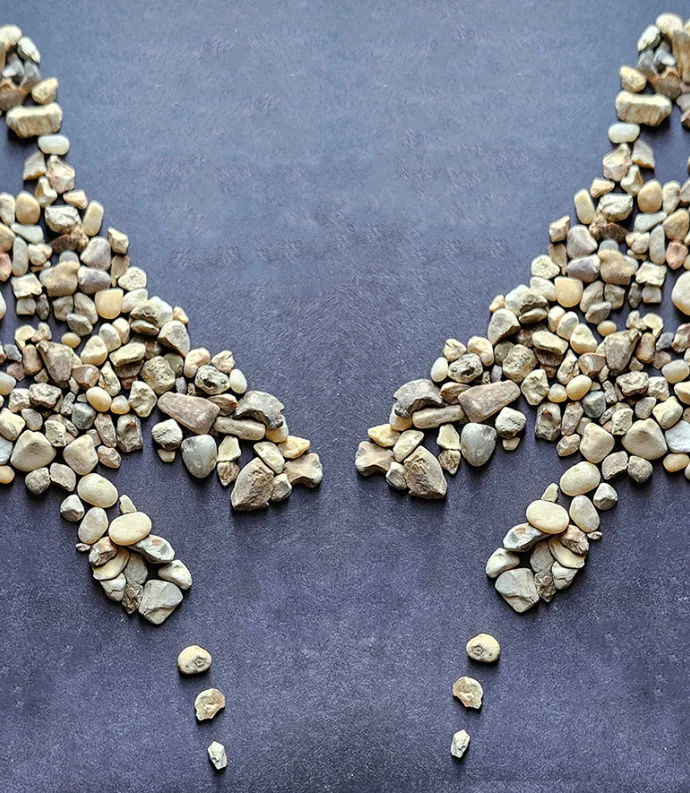 Strophes of Job cover with mirrored horse pebble formation