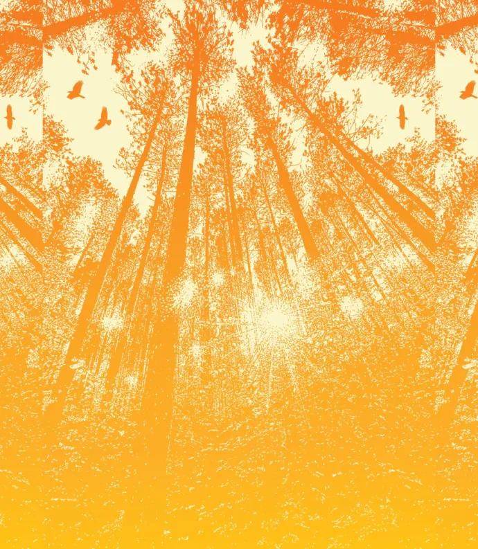 Yellow trees