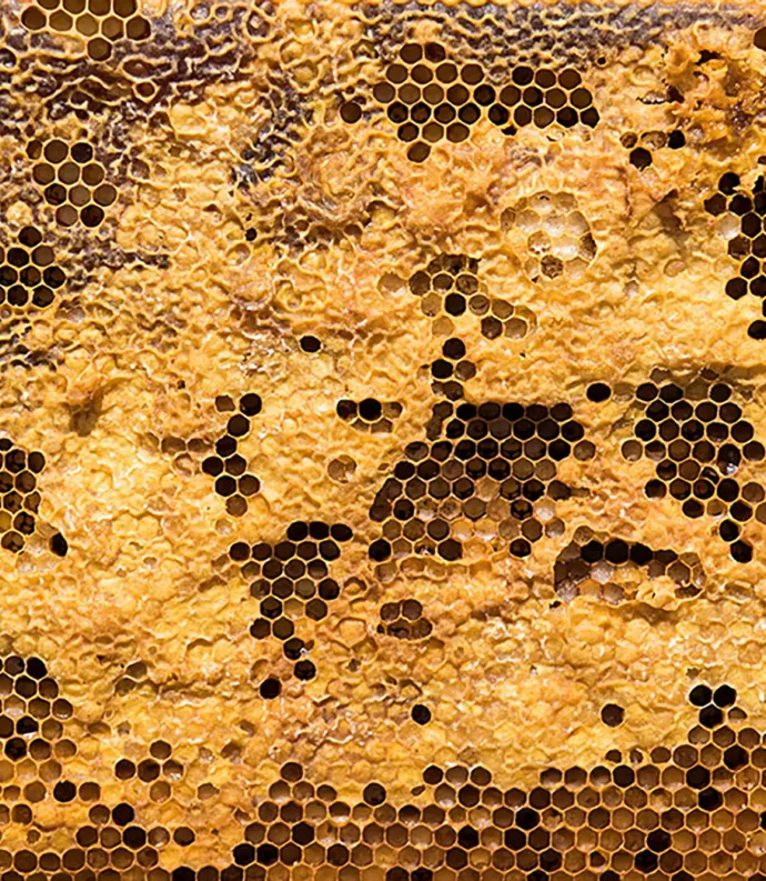beehive