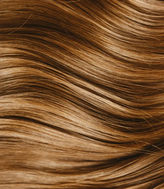 blond hair