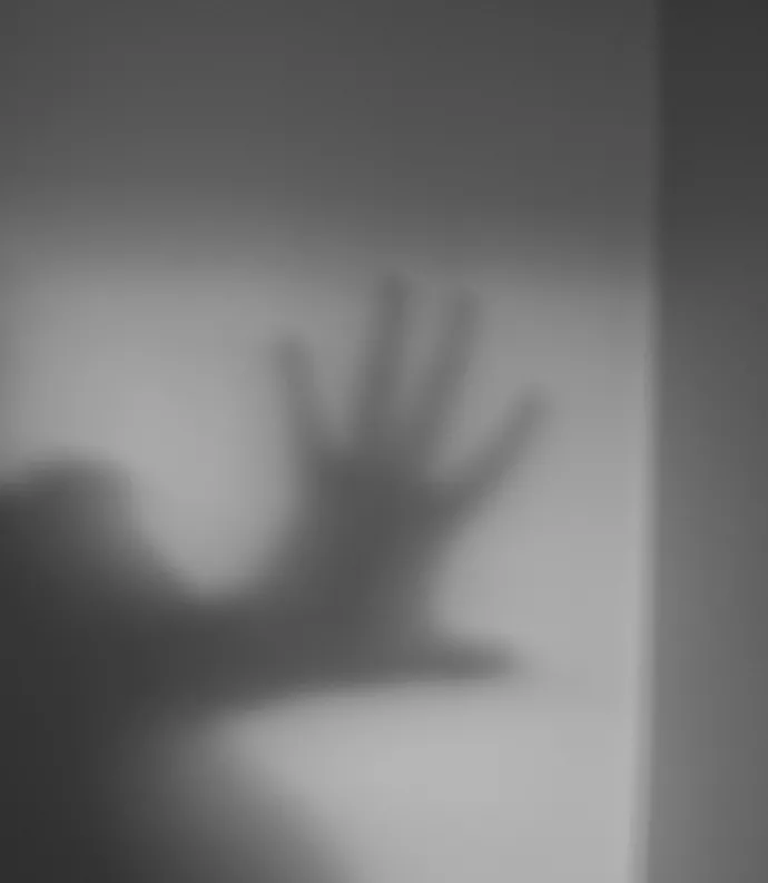 Shadow hand