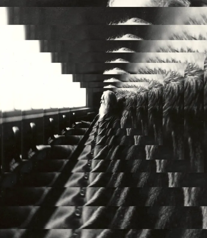 layers of zoomed in frames of Whitman's face
