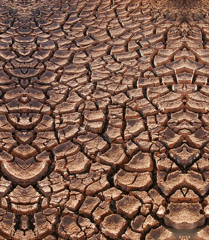 desert drought