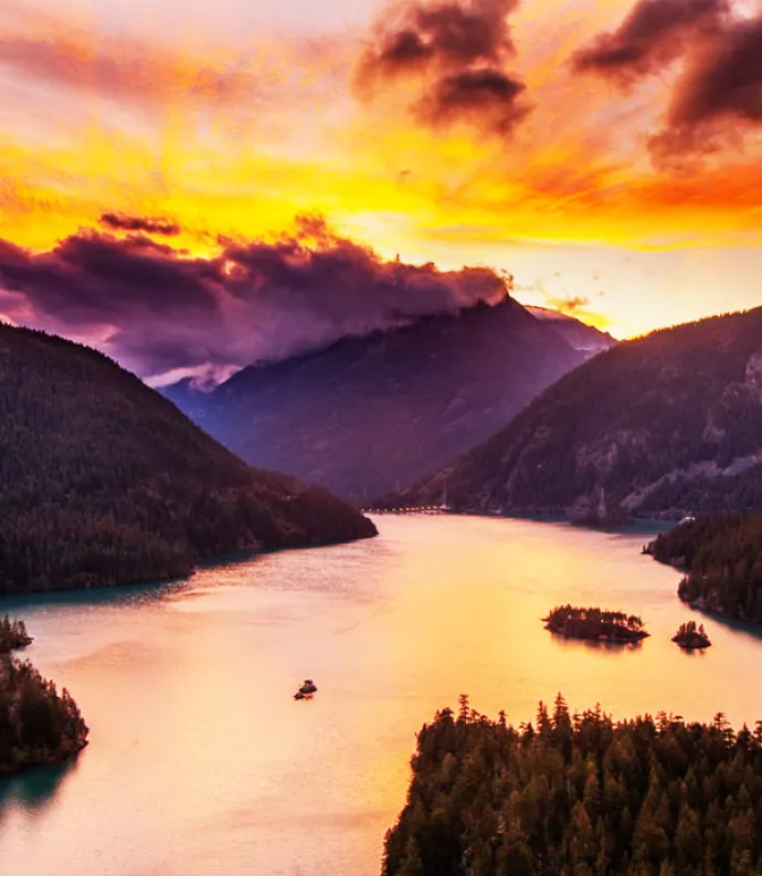 saturated landscape