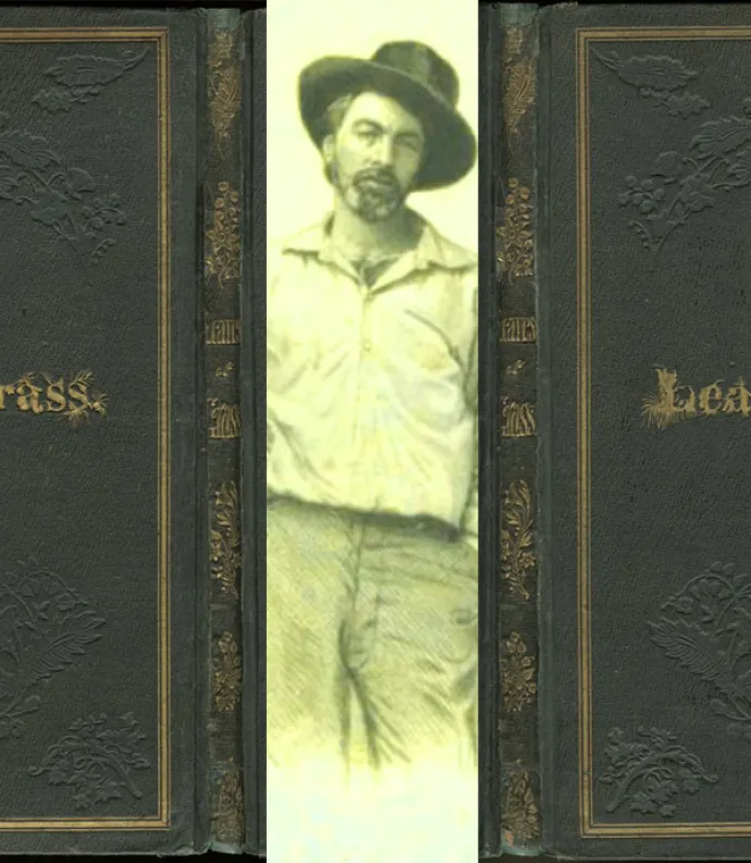 Whitman between the covers