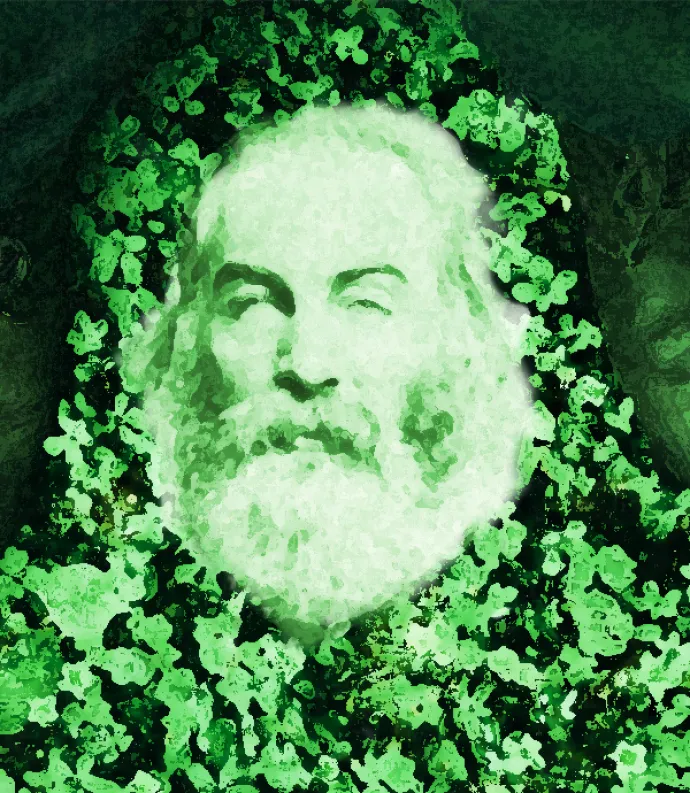 Whitman between boots