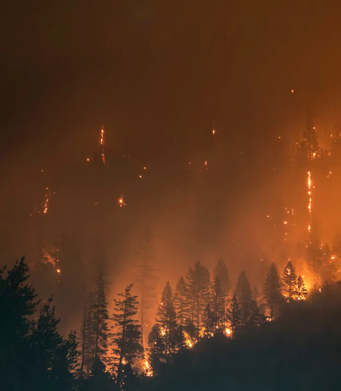Header Graphic: Flames consuming a forest at night | Image Credit: Unsplash