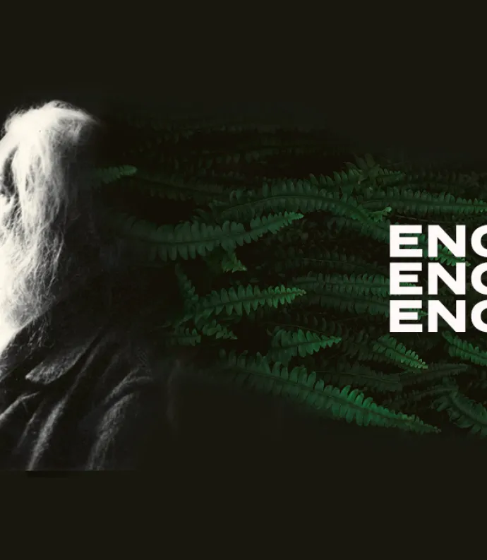 Whitman and ferns